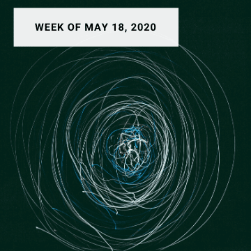 Weekly News: How brain-like should AI be?