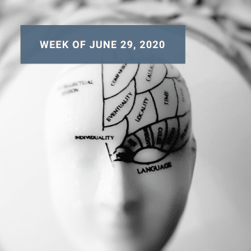 Weekly News: How Tech Is Rewiring our Brains