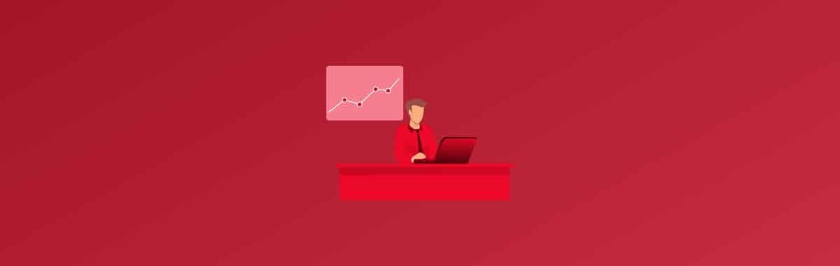 Solution Architect: Job description